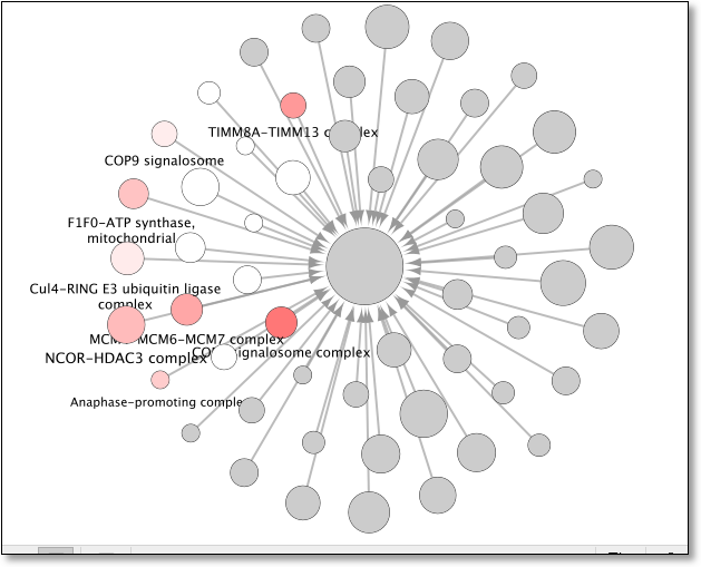 _images/mapped_terms.png